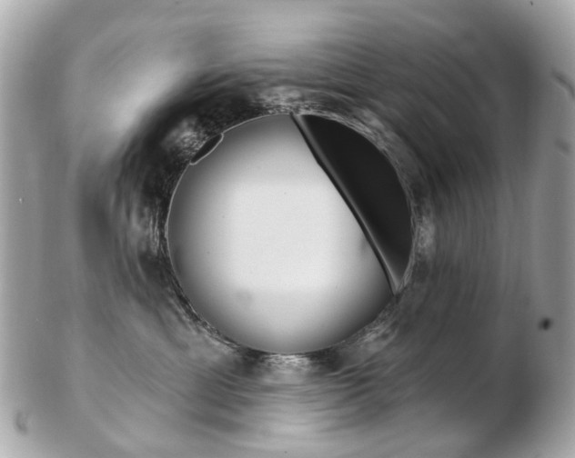 X0000103280429200808291050