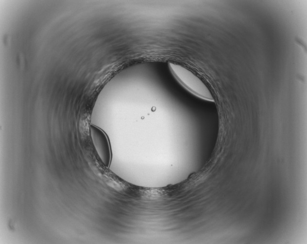 X0000103280432200808291050