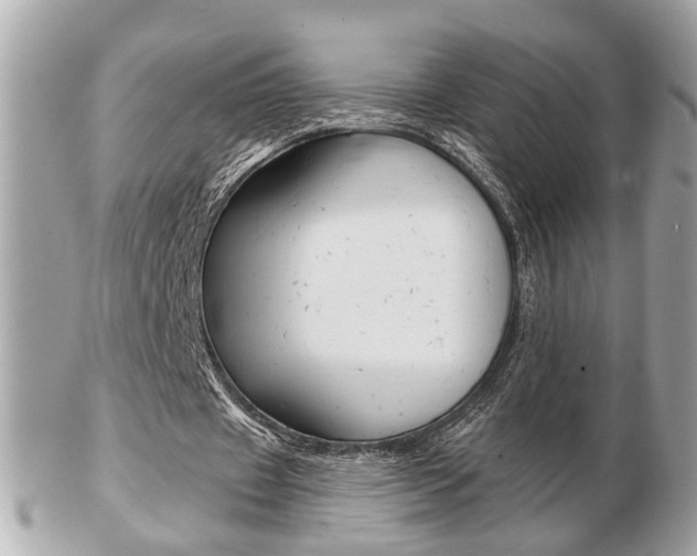 X0000103280433200808291049