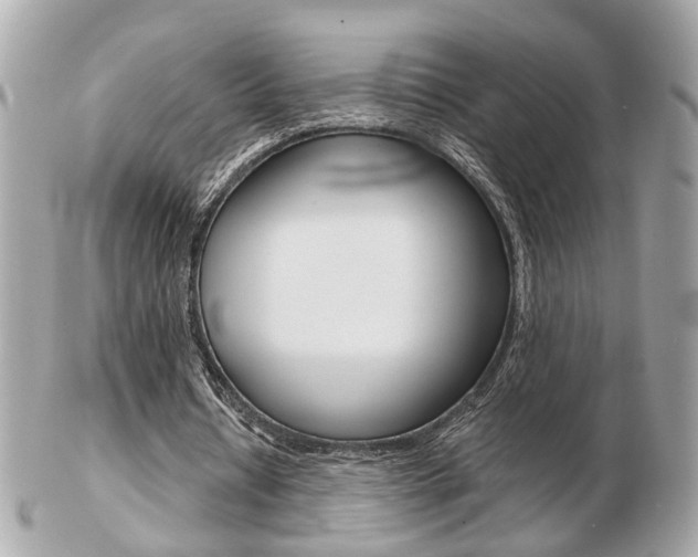 X0000103280434200808291049