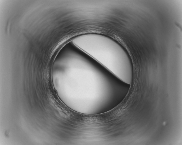 X0000103280435200808291049