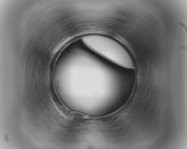 X0000103280436200808291049