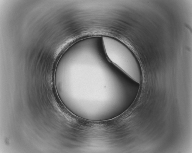 X0000103280438200808291049