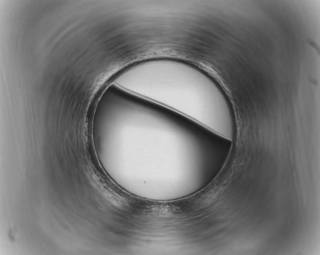 X0000103280439200808291049