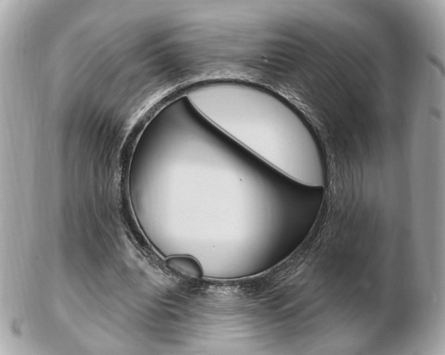 X0000103280440200808291049