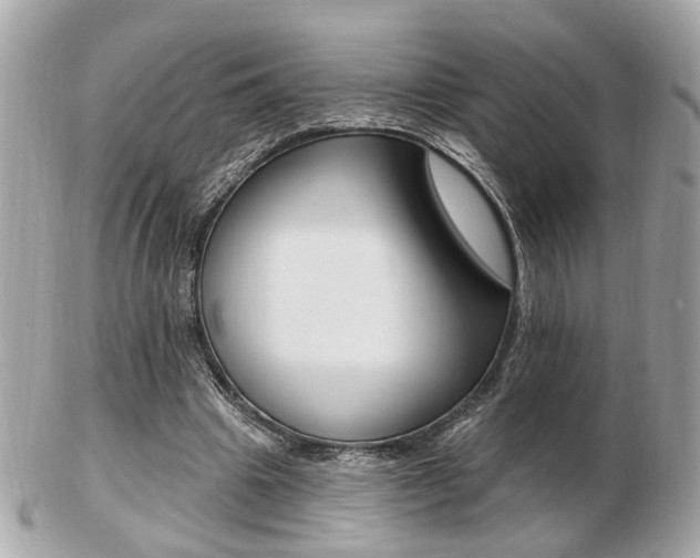 X0000103280441200808291049