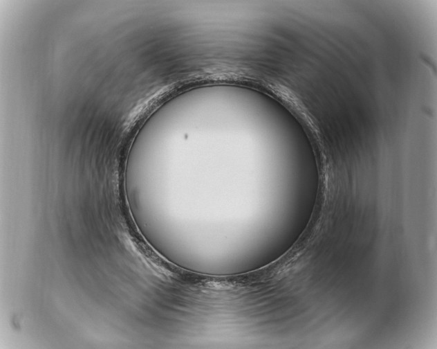 X0000103280442200808291049