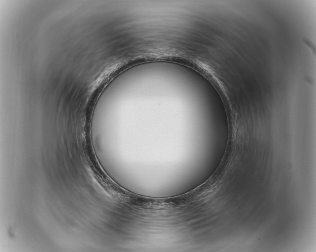 X0000103280443200808291049