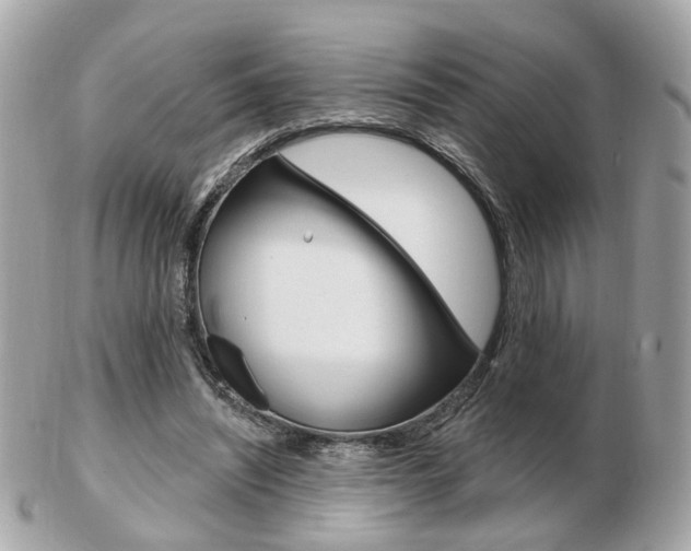 X0000103280444200808291049