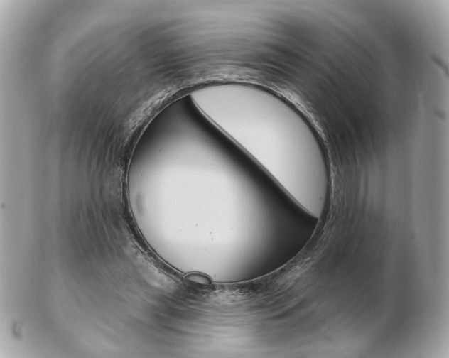 X0000103280445200808291049