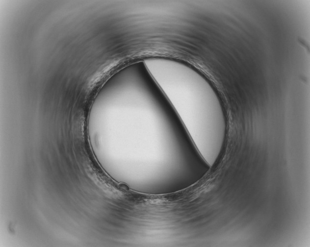 X0000103280446200808291049