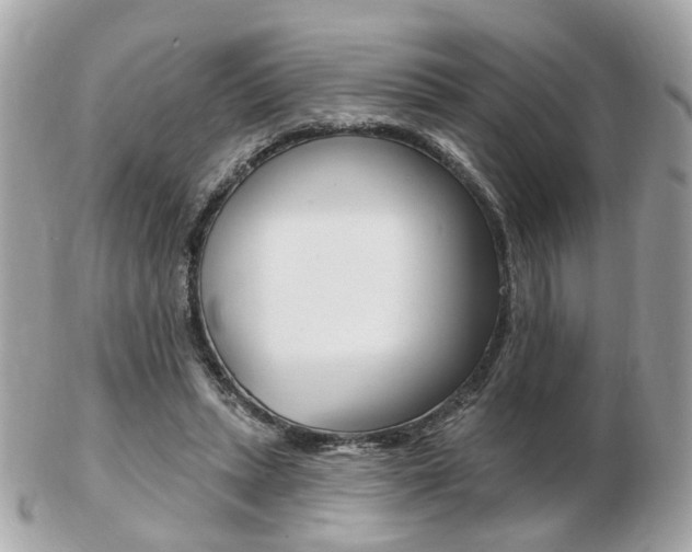 X0000103280447200808291049