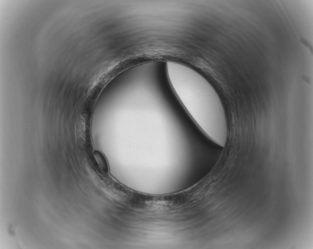 X0000103280448200808291049