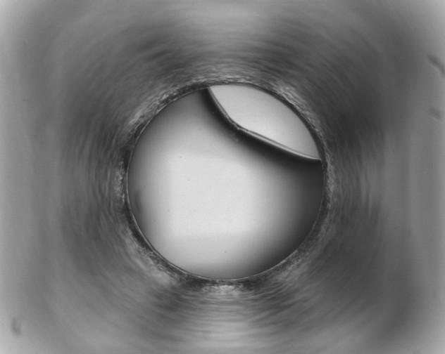 X0000103280449200808291049