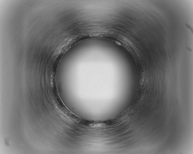 X0000103280452200808291049