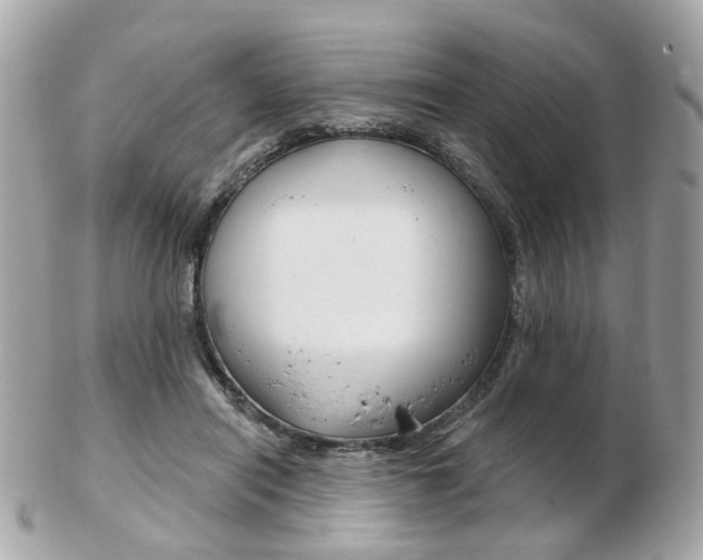 X0000103280454200808291049