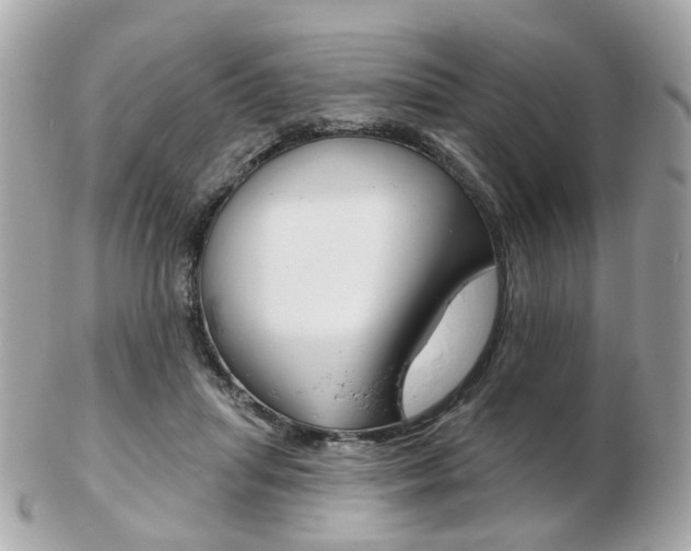 X0000103280455200808291049