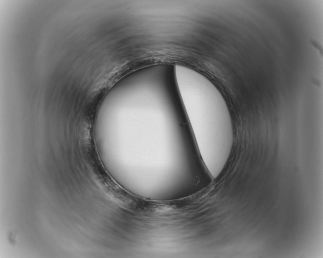 X0000103280456200808291049