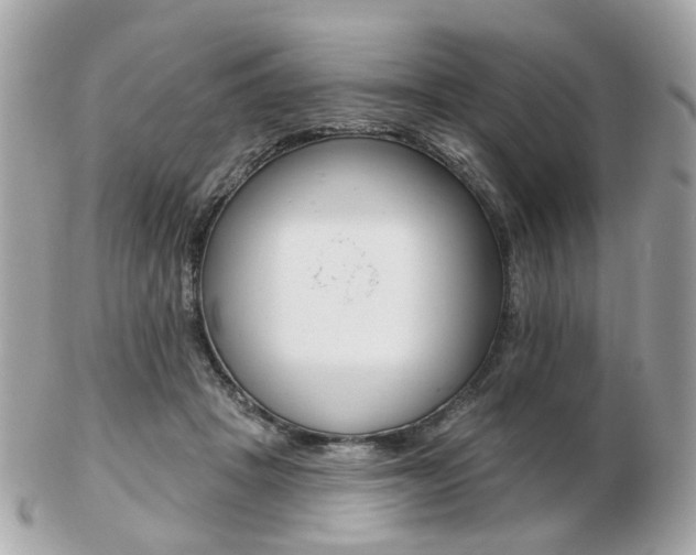 X0000103280457200808291049
