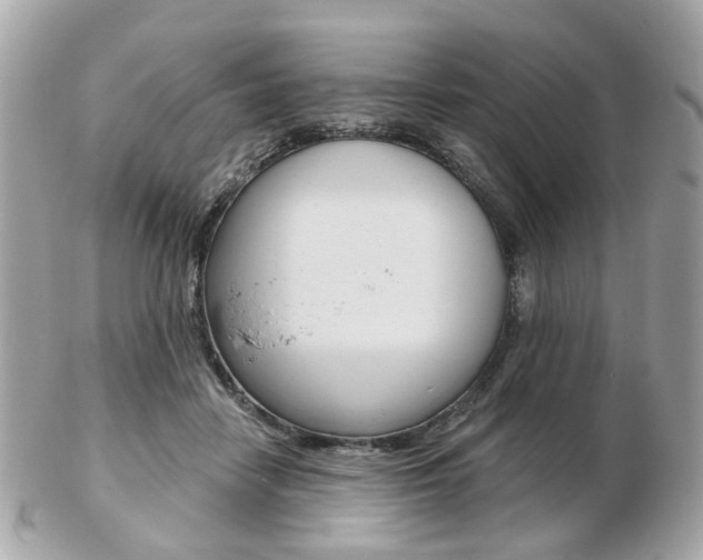 X0000103280458200808291049