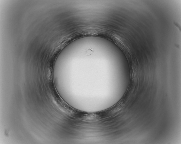 X0000103280459200808291049