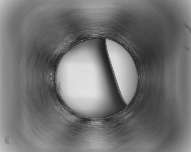 X0000103280462200808291049