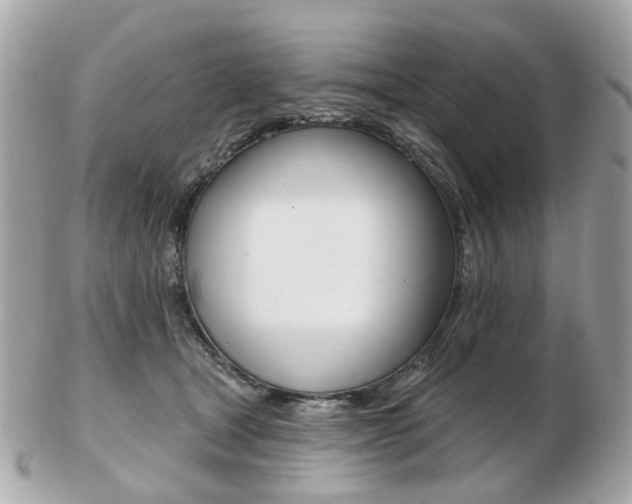 X0000103280465200808291049