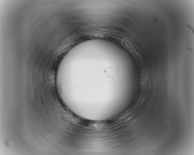 X0000103280466200808291049
