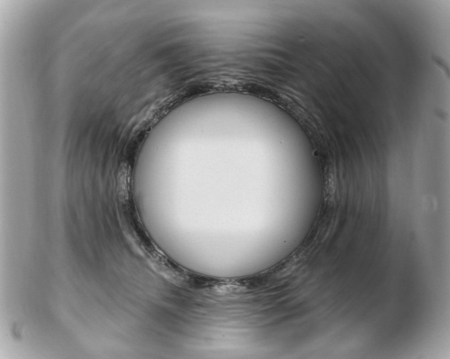 X0000103280468200808291050