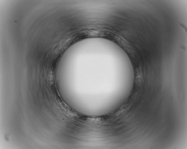 X0000103280469200808291050