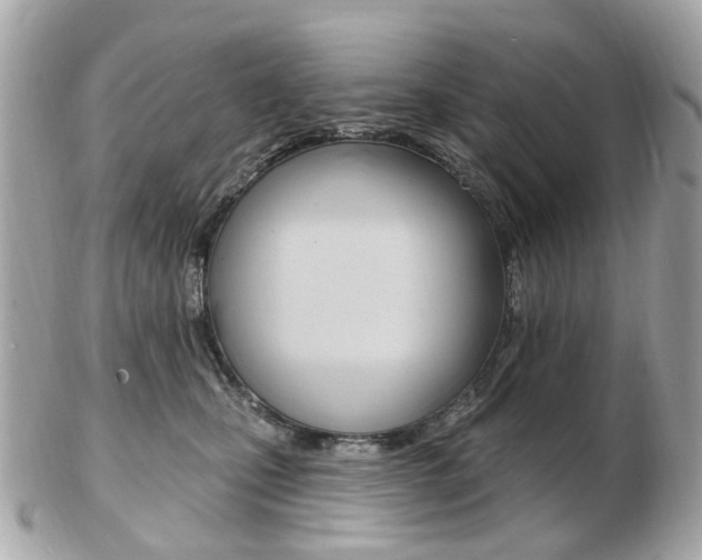 X0000103280471200808291050