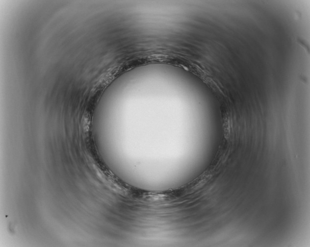 X0000103280472200808291050