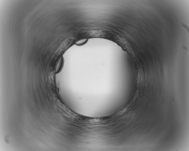 X0000103280473200808291050