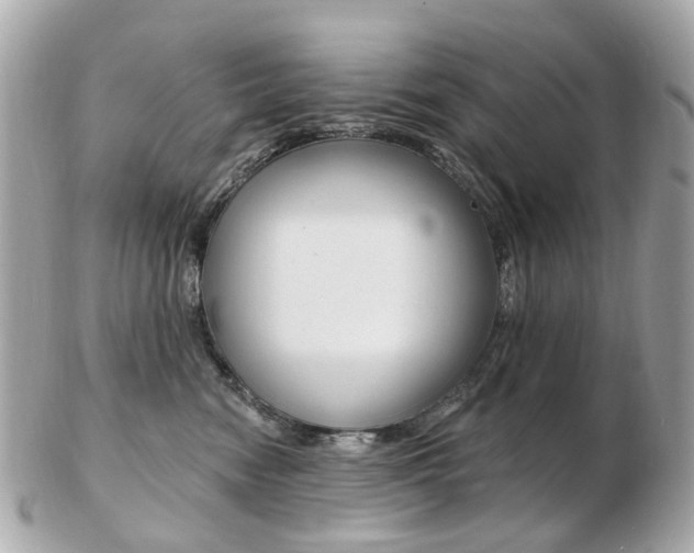 X0000103280474200808291050