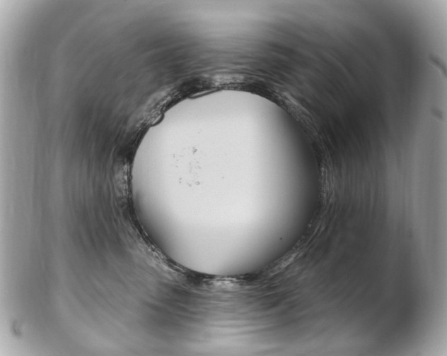 X0000103280475200808291050
