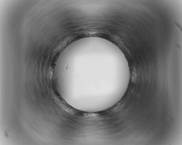 X0000103280476200808291050