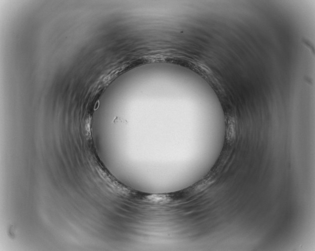 X0000103280477200808291050