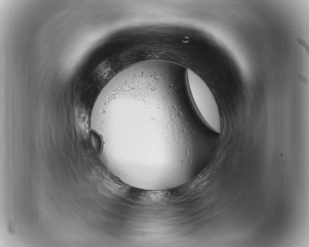 X0000103280479200808291050