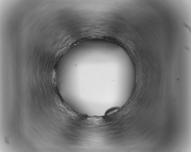 X0000103280480200808291050