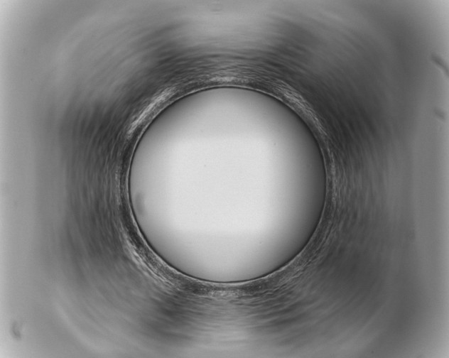 X0000103280482200808291049
