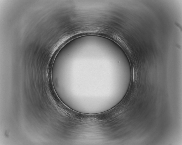 X0000103280483200808291049