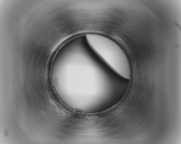 X0000103280484200808291049