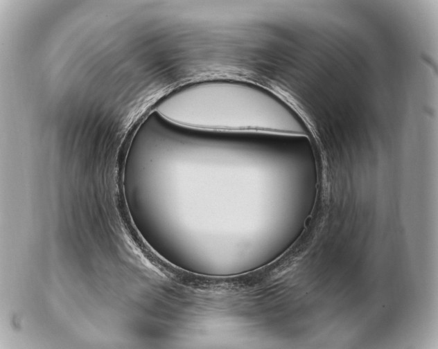 X0000103280485200808291049