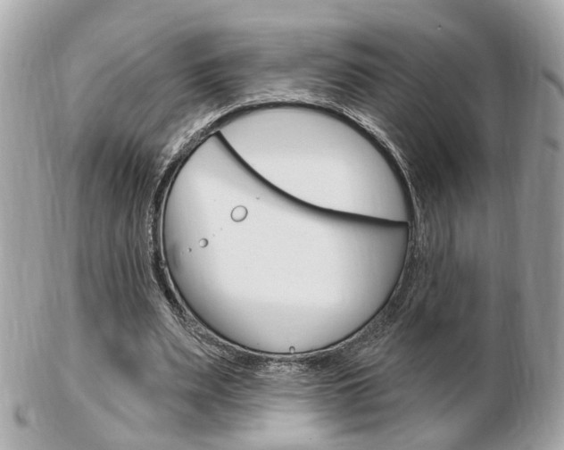 X0000103280487200808291049