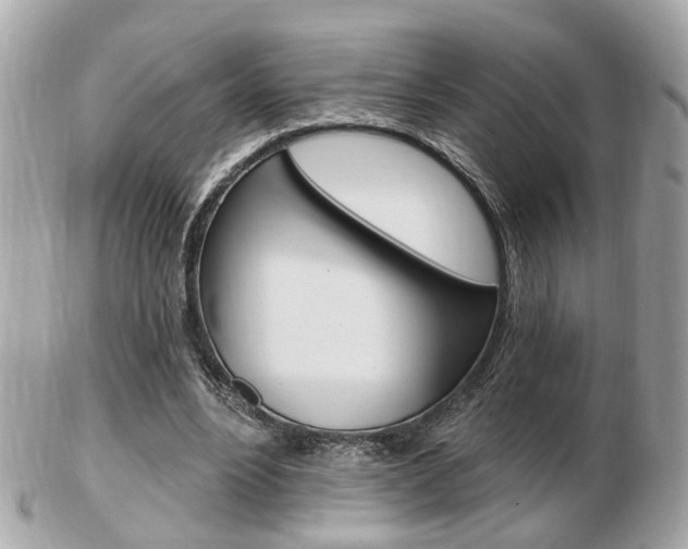 X0000103280488200808291049
