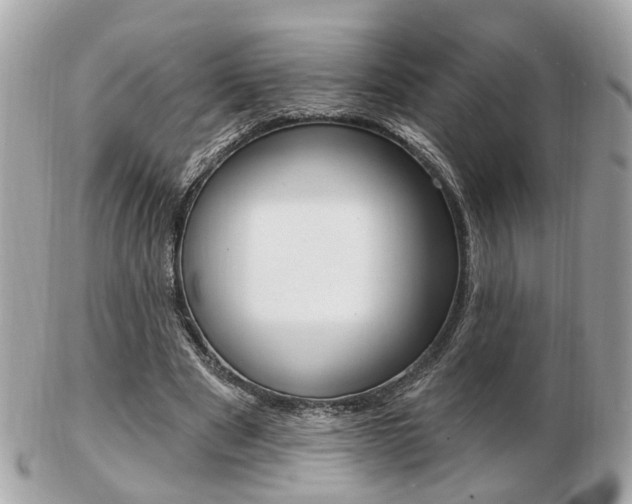 X0000103280489200808291049