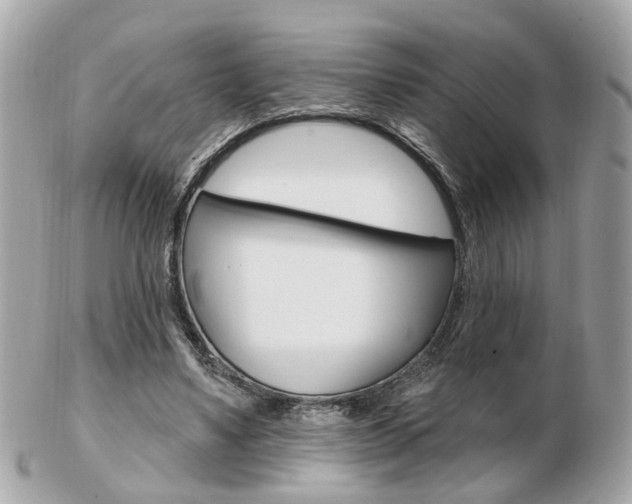 X0000103280491200808291049