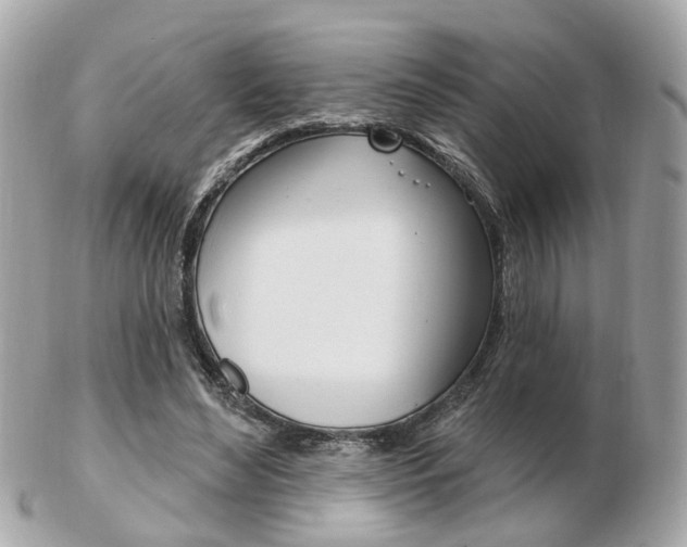 X0000103280492200808291049