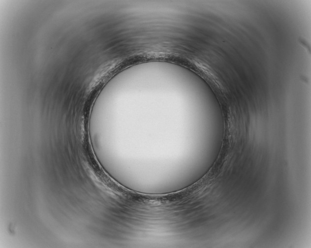 X0000103280494200808291049