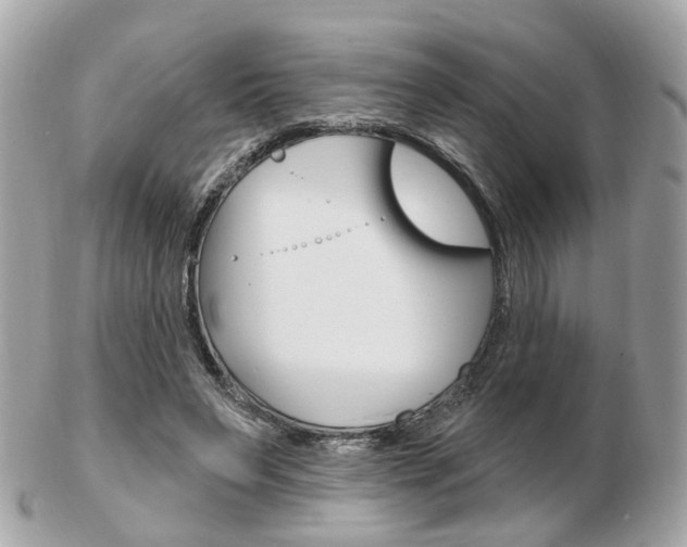 X0000103280495200808291049